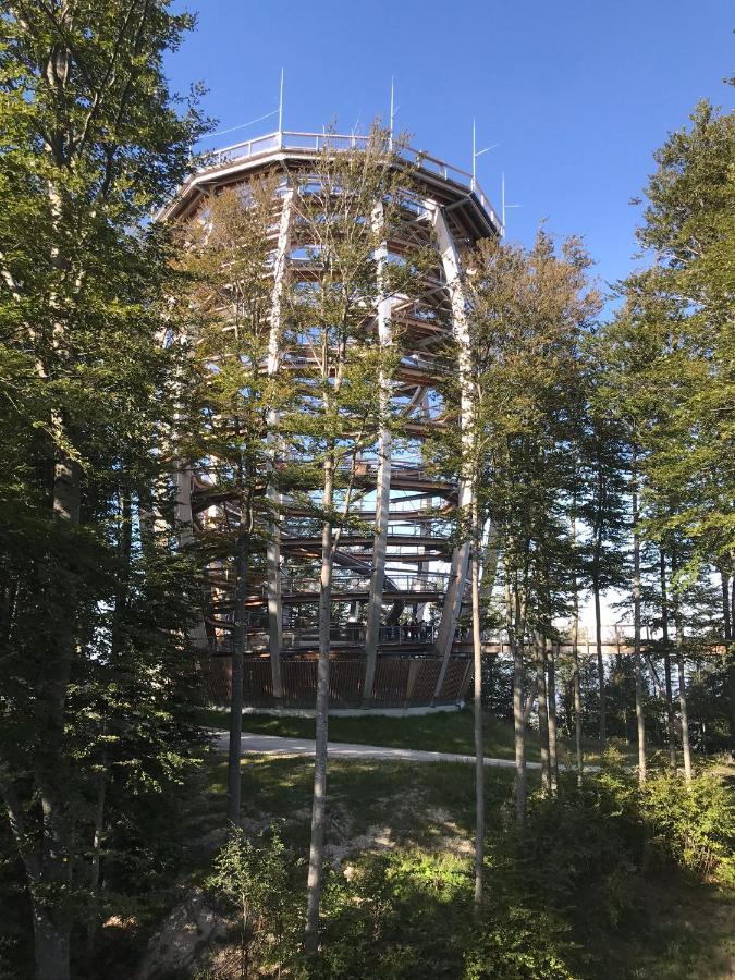 Apartment Parkvilla Traunsee Altmünster Zewnętrze zdjęcie