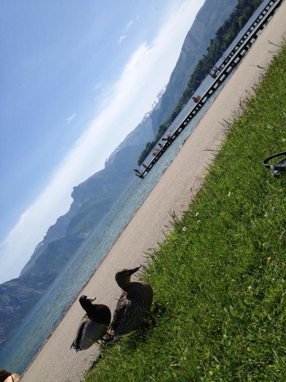 Apartment Parkvilla Traunsee Altmünster Zewnętrze zdjęcie