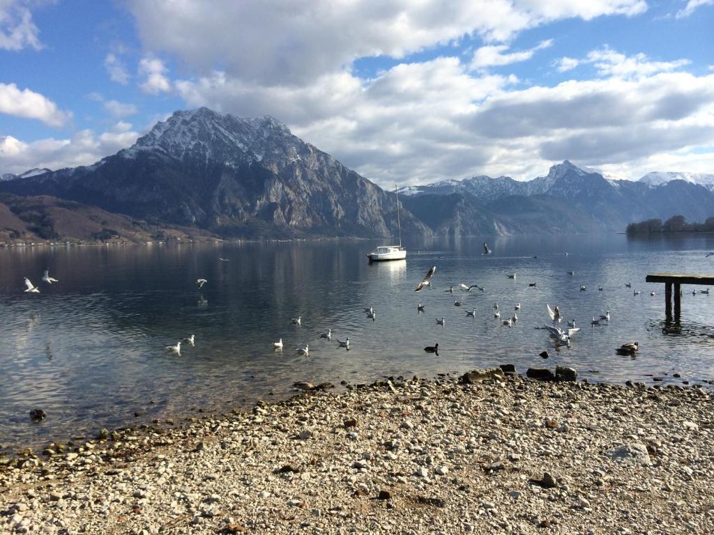 Apartment Parkvilla Traunsee Altmünster Zewnętrze zdjęcie