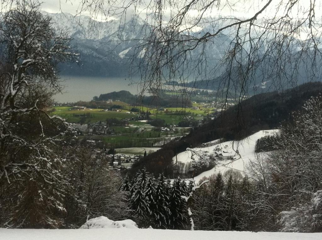 Apartment Parkvilla Traunsee Altmünster Zewnętrze zdjęcie
